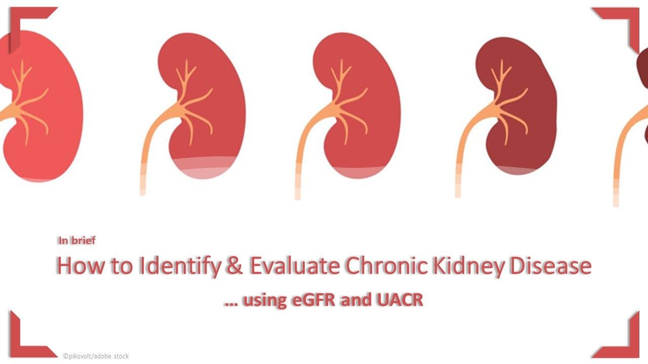 How to Identify & Evaluate Chronic Kidney Disease Using eGFR and UACR: In brief