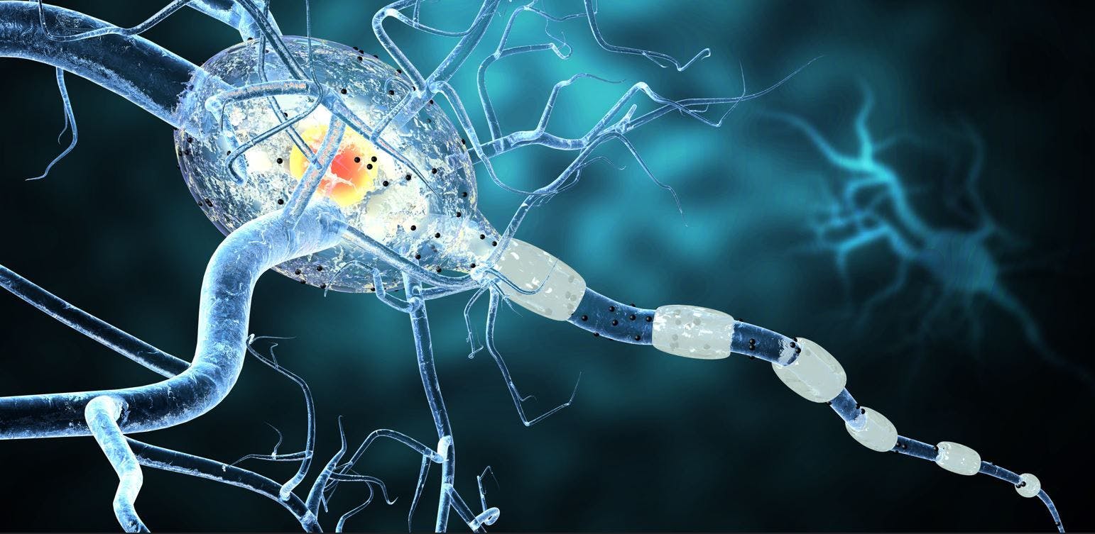First Biosimilar for Multiple Sclerosis Wins FDA Approval  / image credit MS ©ralwel/stock.adobe.com